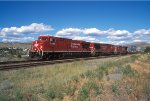 CP 8747 West